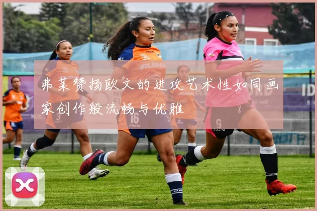 弗莱赞扬欧文的进攻艺术性如同画家创作般流畅与优雅